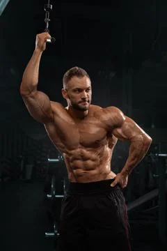 Muscular man is engaged in cable exercise well equipped gym. workout takes place Stock Photos