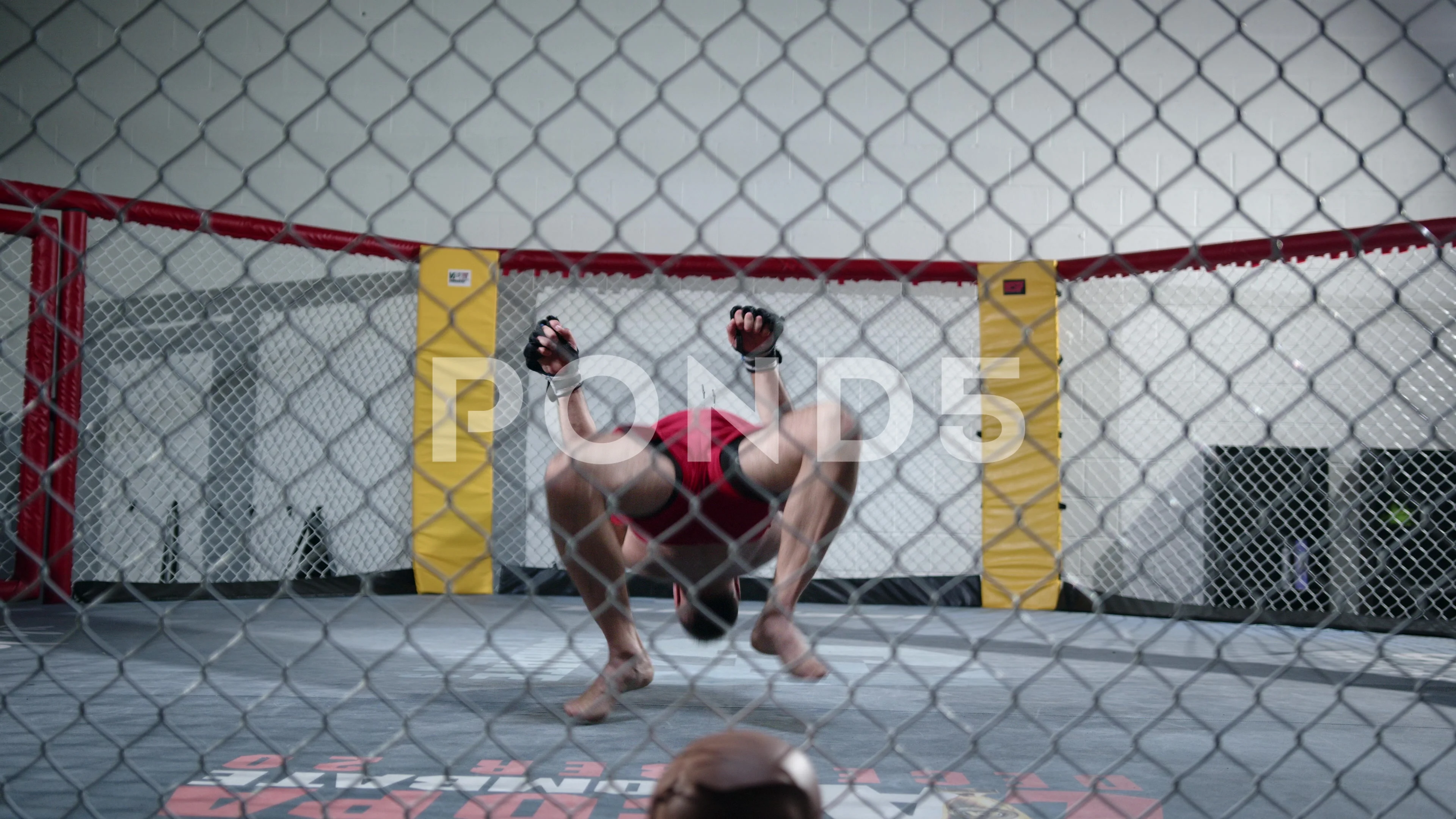 inside mma cage