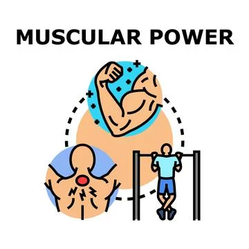 Muscular power concept for strength training and recovery Stock Illustration