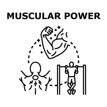 Muscular power concept for strength training and recovery Stock Illustration