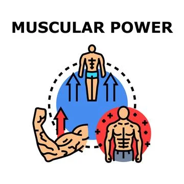 Muscular power development and body strength increase Illustration