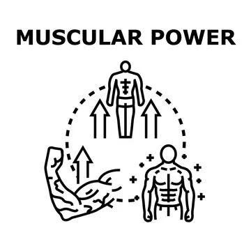 Muscular power development and body strength increase Ilustración de archivo