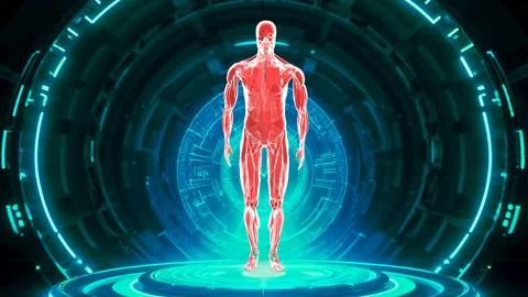 Muscular System Walking Front View Hologram Stock Footage 329294110