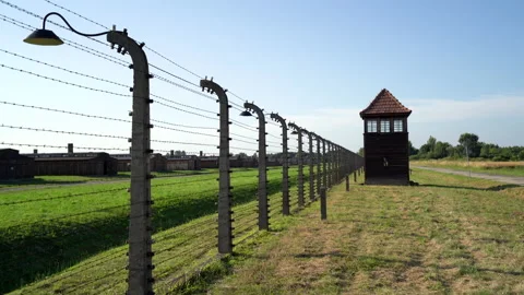 Museum and the Holocaust in O?wi?cim 動画素材 158018144