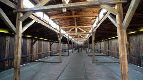 Museum and the Holocaust in O?wi?cim 動画素材 158018371