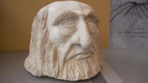 Museum big head Leonardo da Vinci decoration furniture rolling mNACTEC Stock Footage 344111131