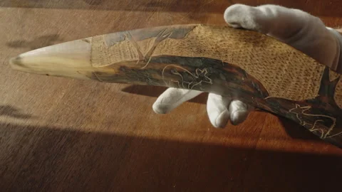Museum Curator Inspecting Aboriginal Painted Boomerang Wearing White Gloves Stock Footage 340226596