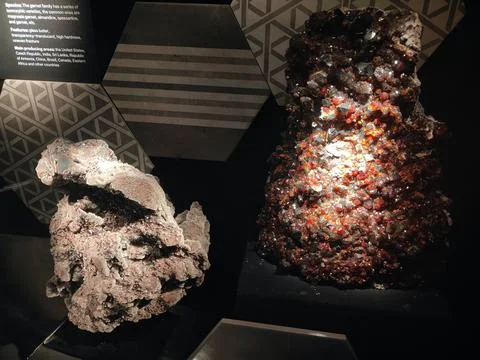 The museum display features two stunning multi-tonal rocks, one with deep r.. Stock Photos