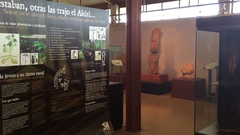 Museum Exhibit of Rapa Nui Artifacts, Hanga Roa, Rapa Nui, Chile 1080p 스톡 동영상 160008175