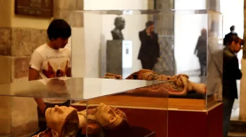 Museum Video stock 10609336