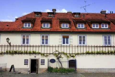 Museum of oldest vine Fotos Stock