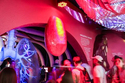 Museum visitors pass under a model of a tonsil. Photos