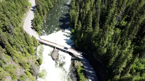 The Mushbowl Bridge over the Murtle River in Wells Gray Provincial Park Stock Footage 265019839