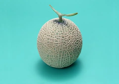 Mushmelon Stock Photos