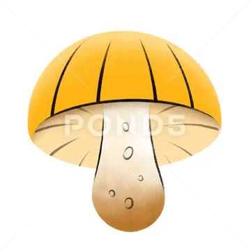 Mushroom 4 PSD 템플릿