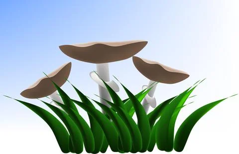 Mushroom Agaricus Stock Illustration