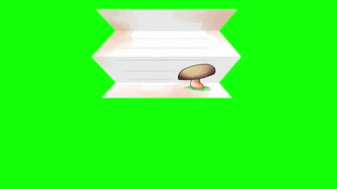 Mushroom Animated on Chroma Key for Compositing Stock Footage 337990848