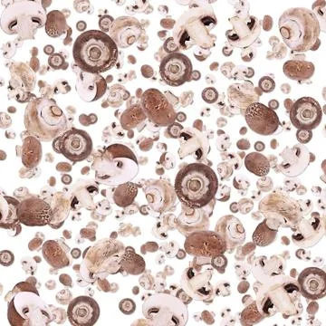 Mushroom background (on white) Stock Illustration