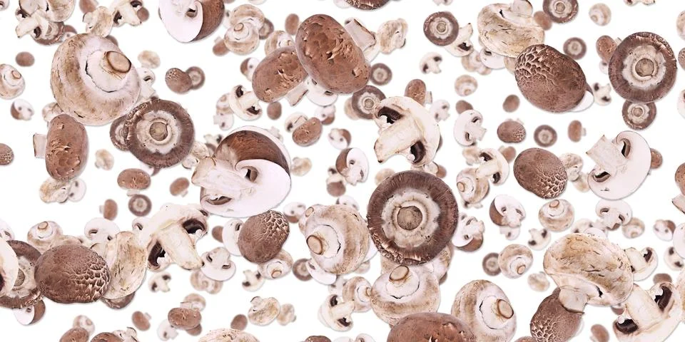 Mushroom background (on white) Stock Illustration