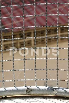 Mushroom barbed wire cage inside detention Within steel cage, nick iron net Stock Photos