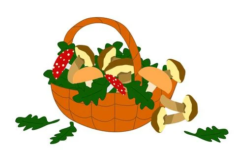Mushroom basket Illustrazione stock