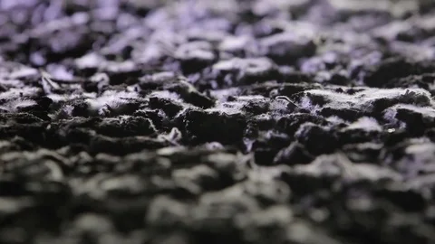 Mushroom bedding Stock Footage 107319339