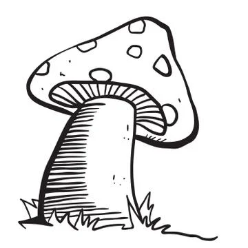 Mushroom black Stock Illustration