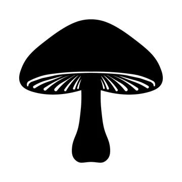 Mushroom black vector icon on white background Stock Illustration