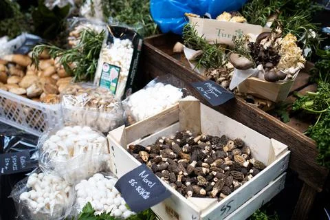 Mushroom boxes on a stand Stock Photos