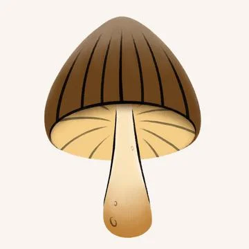 Mushroom with a brown hat Stock Illustration