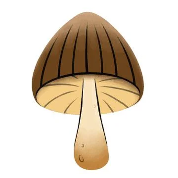 Mushroom with a brown hat stylized drawing by hand Stock Illustration