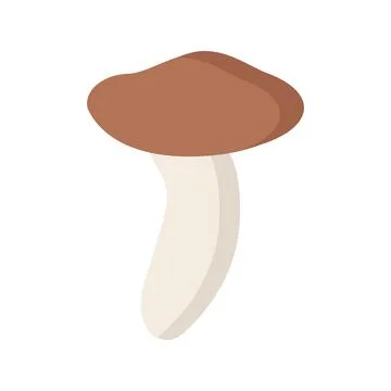 Mushroom with a brown hat on a white background for use in design Stock Illustration