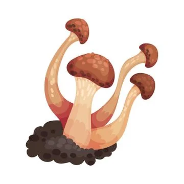 Mushroom with Cap and Stem as Forest Element Vector Illustration Stock Illustration