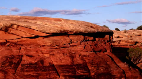 Mushroom Caps Stock Footage 26102571
