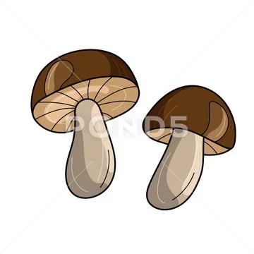 50 Cartoon Mushroom Cute Plant Scrapbooking Kawaii Skateboard Aesthetic  Stickers | eBay