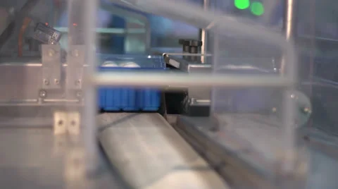 Mushroom champignon packaging machine Stock Footage 34528008