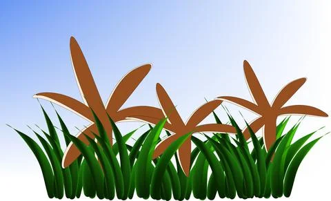 Mushroom Chorioactis geaster. Illustrazione stock