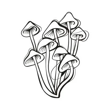 Mushroom Cluster Bunch Forest Line Art Vector Stock Illustration