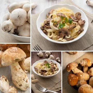 Mushroom composition Stock Photos