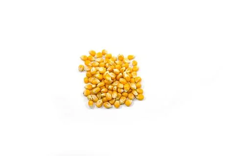 Mushroom corn kernel type used to make popcorn Stock Photos