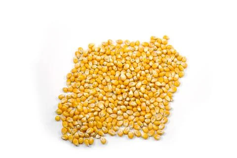 Mushroom corn kernel type used to make popcorn Stock Photos