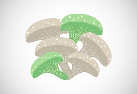 Mushroom creative design vector illustration. Floral elements Illustrazione stock