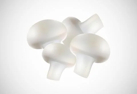 Mushroom creative design vector illustration. Floral elements Stock Illustration