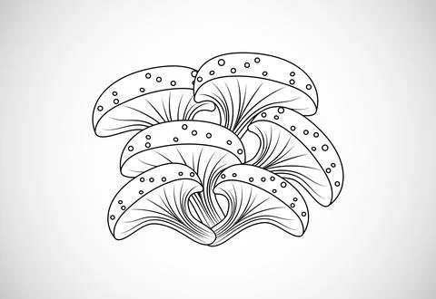 Mushroom creative design vector illustration. Floral elements 스톡 일러스트