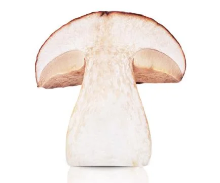 Mushroom cut in half. Stock Photos