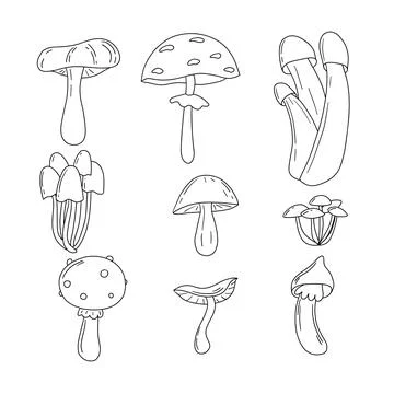 Mushroom doodle vector set. Autumn mood isolated line art collection, print, Stock Illustration