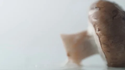 Mushroom falling on water surface. Slow Motion. Stock Footage 79478086