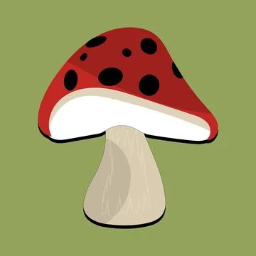 Mushroom flat design cartoon different mushrooms vector illustration Stock Illustration