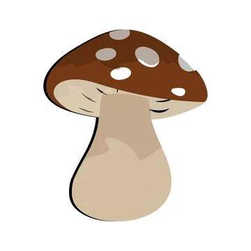 Mushroom flat design cartoon different mushrooms vector illustration Stock Illustration