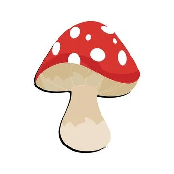 Mushroom flat design cartoon different mushrooms vector illustration Stock Illustration